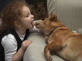 anak cium anjing sareng janten katépaan sareng parasit